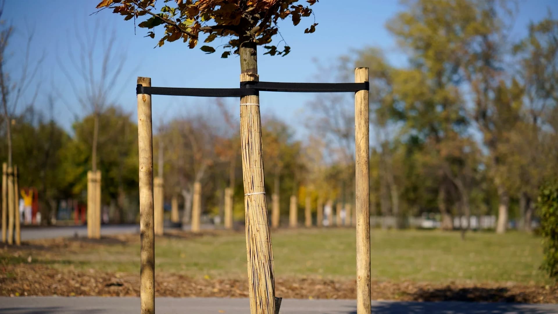 Landscaping Products