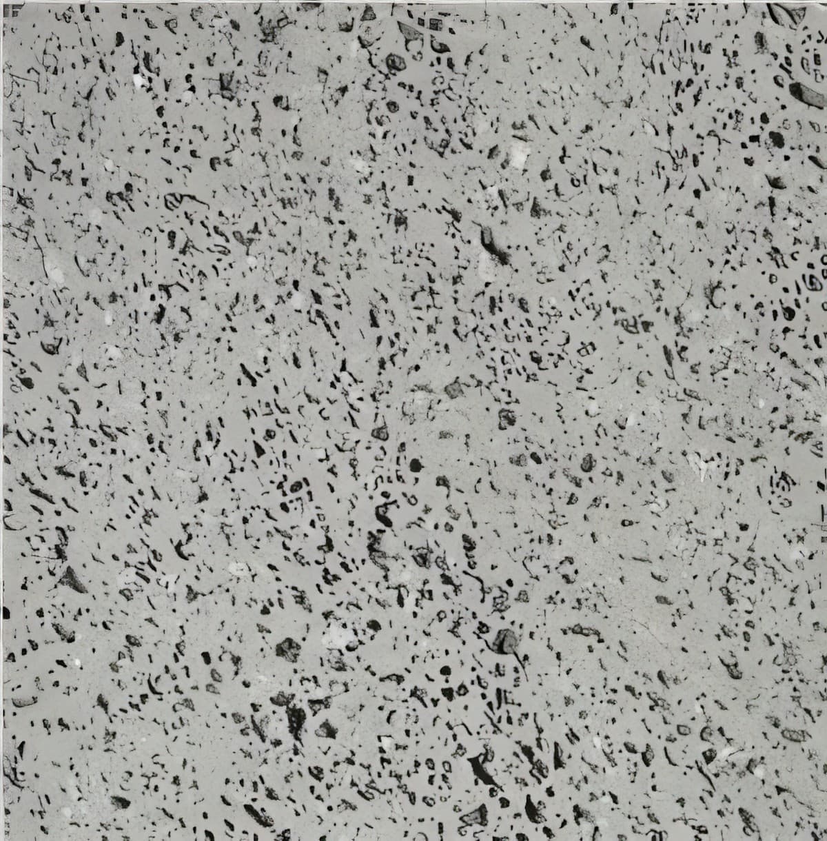 ULG-BSL-018 - Basalto Dos Acores — image 1