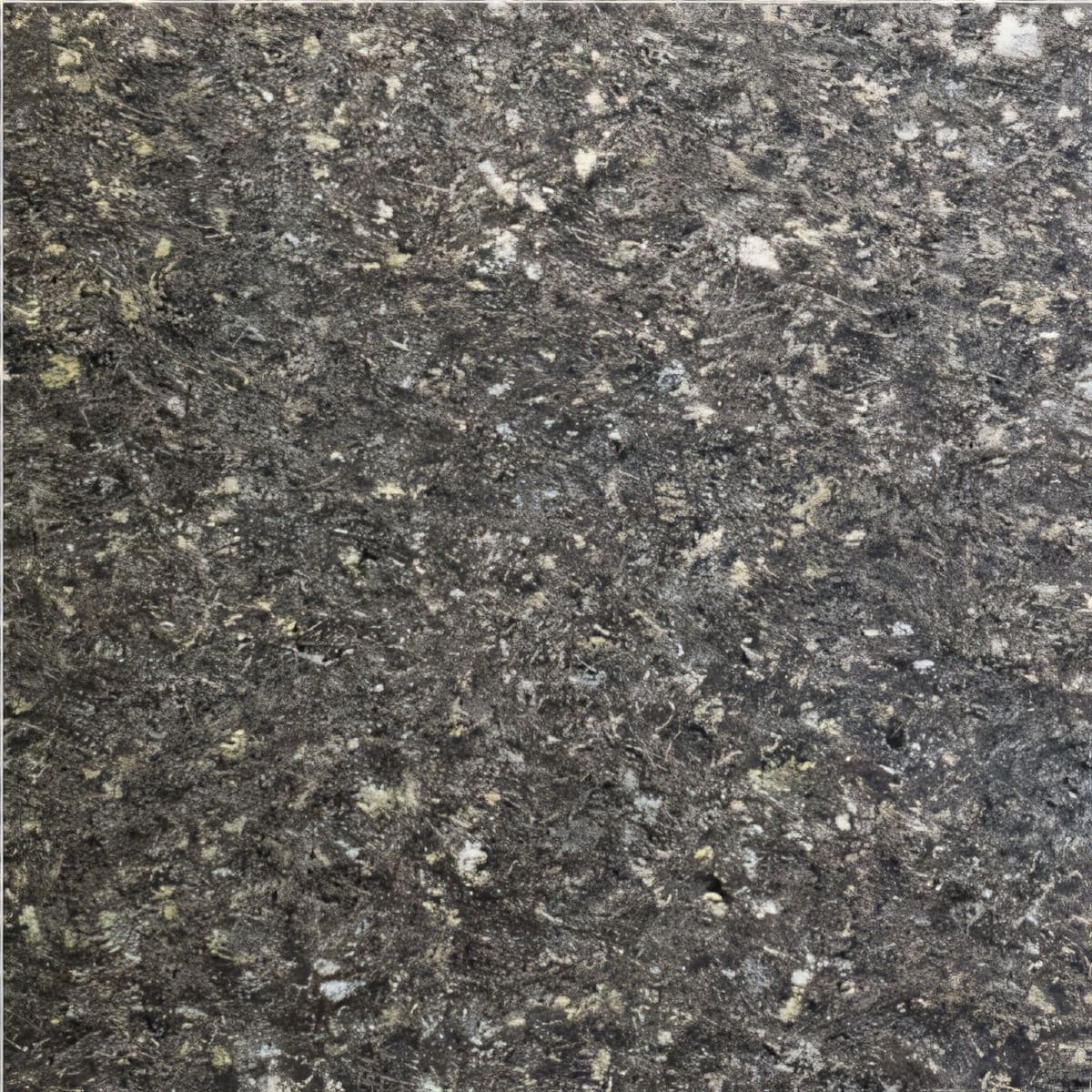 ULG-BSL-026 - Leon Basalt — image 1