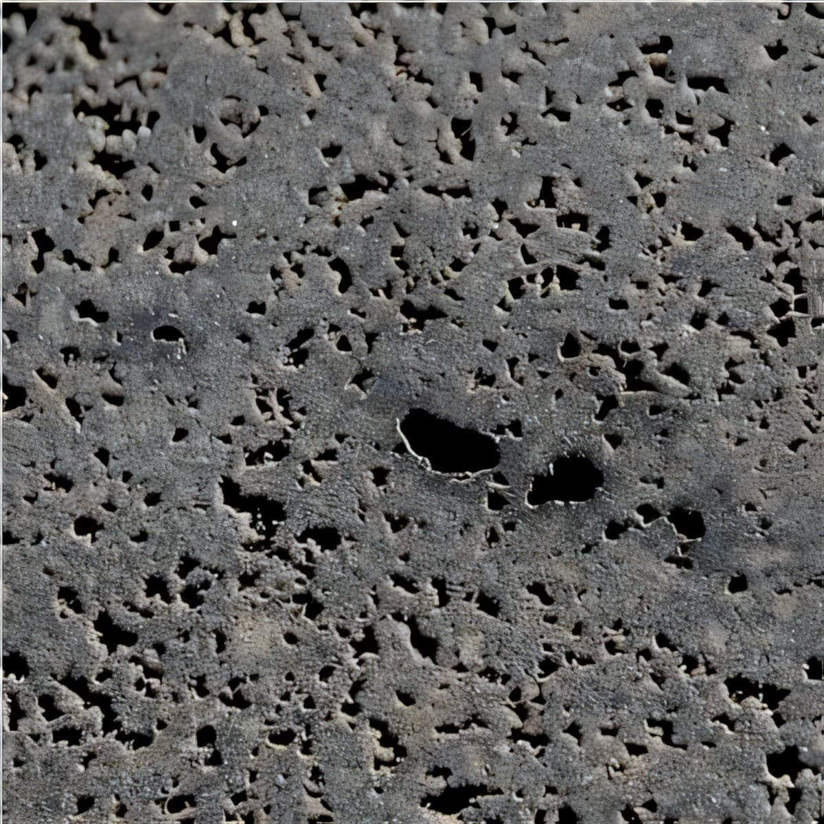 ULG-BSL-029 - Timaru Basalt — image 1