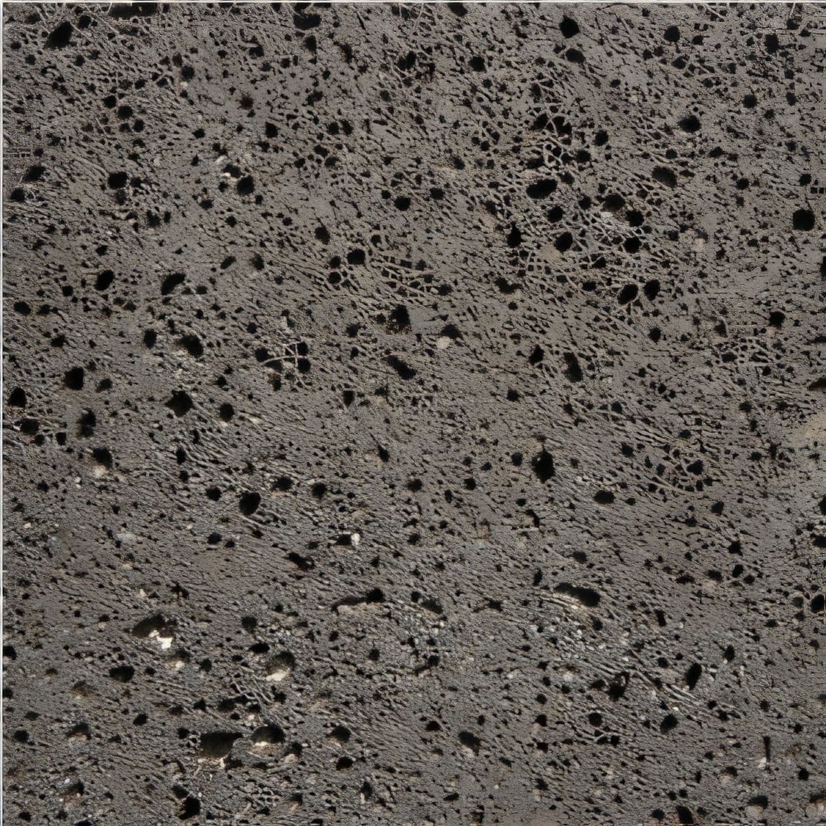 ULG-BSL-031 - Recinto Poro Abierto — image 1