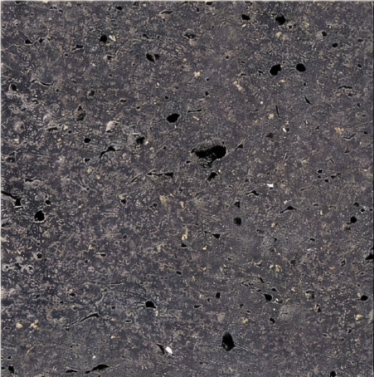 ULG-BSL-035 - Basalt With Holes — image 1