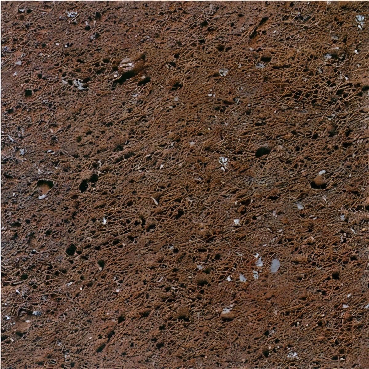ULG-BSL-040 - Red Volcanic Basalt — image 1