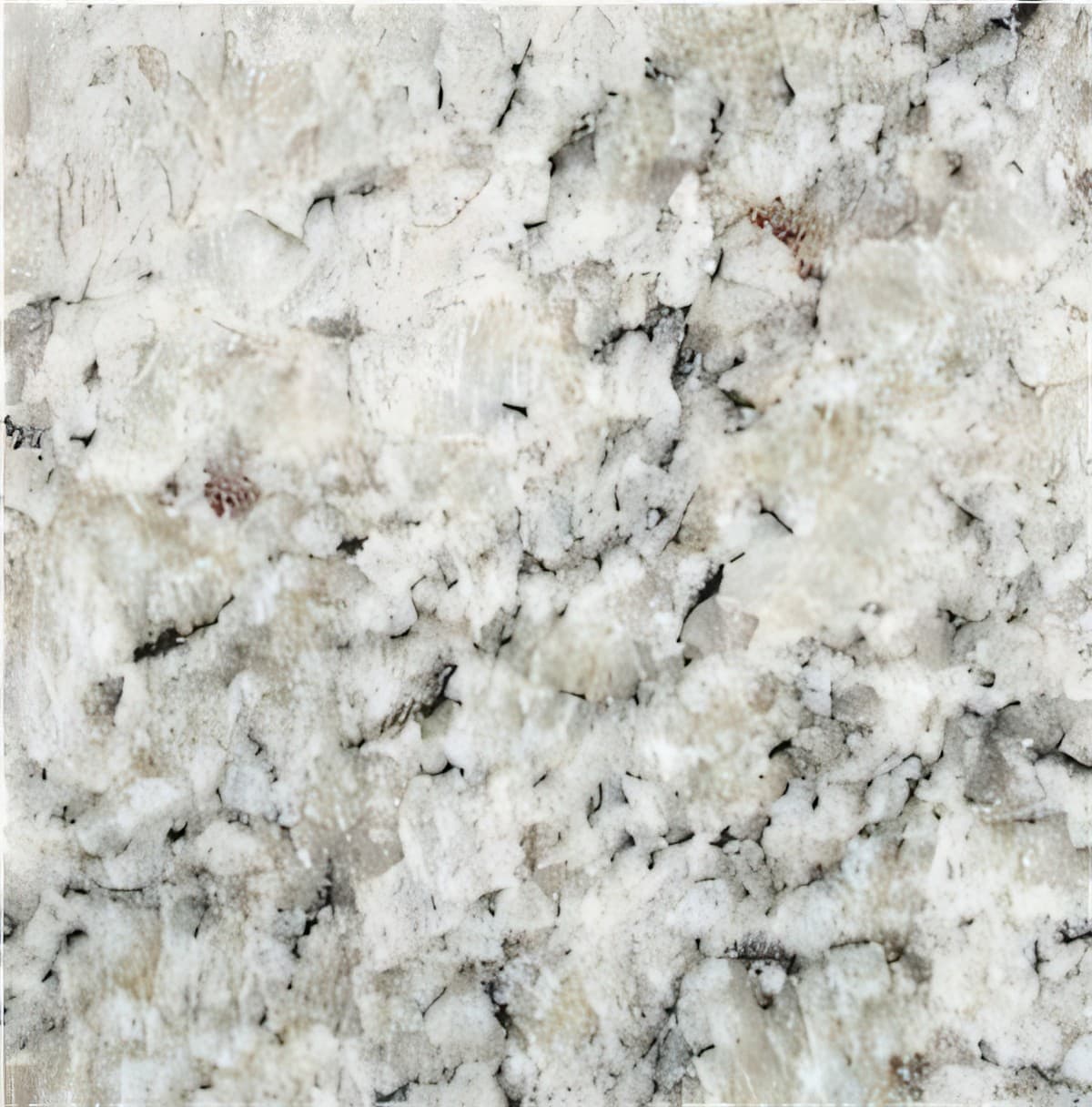 ULG-GRN-001 - Dallas White Granite — image 1
