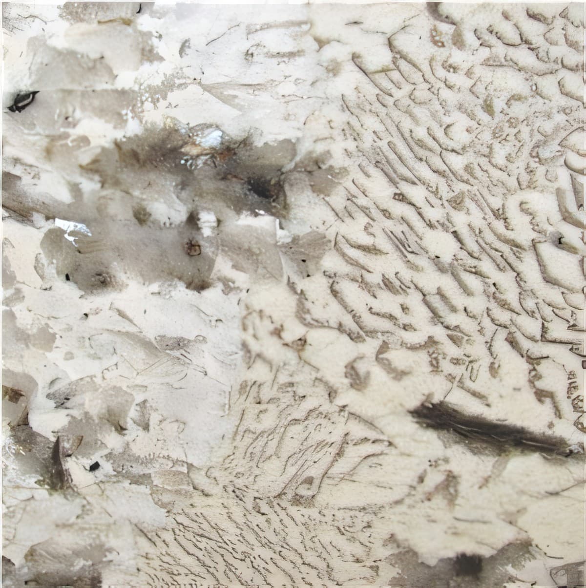 ULG-GRN-003 - Copenhagen Granite — image 1