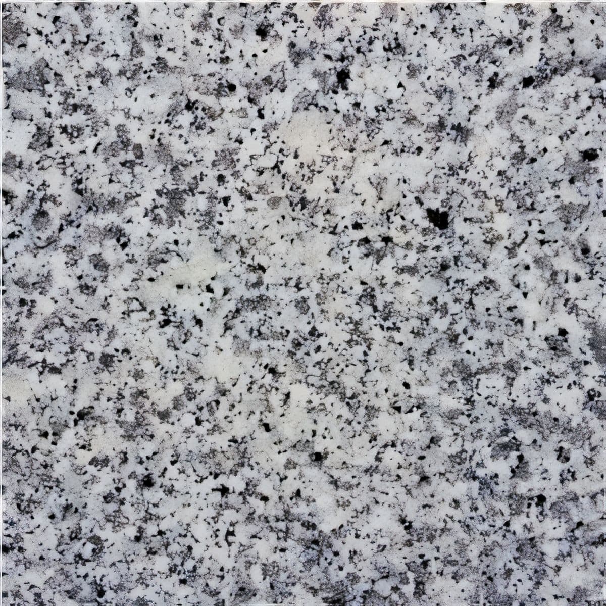 ULG-GRN-011 - Bianco Sardo Granite — image 1