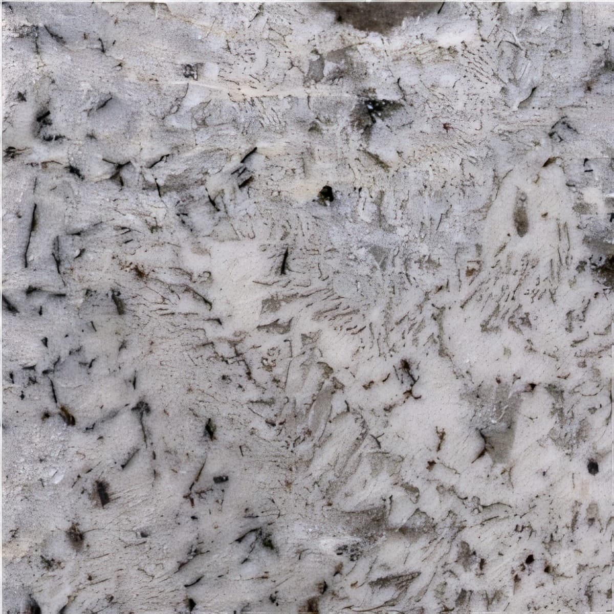 ULG-GRN-012 - Persian Pearl Granite — image 1