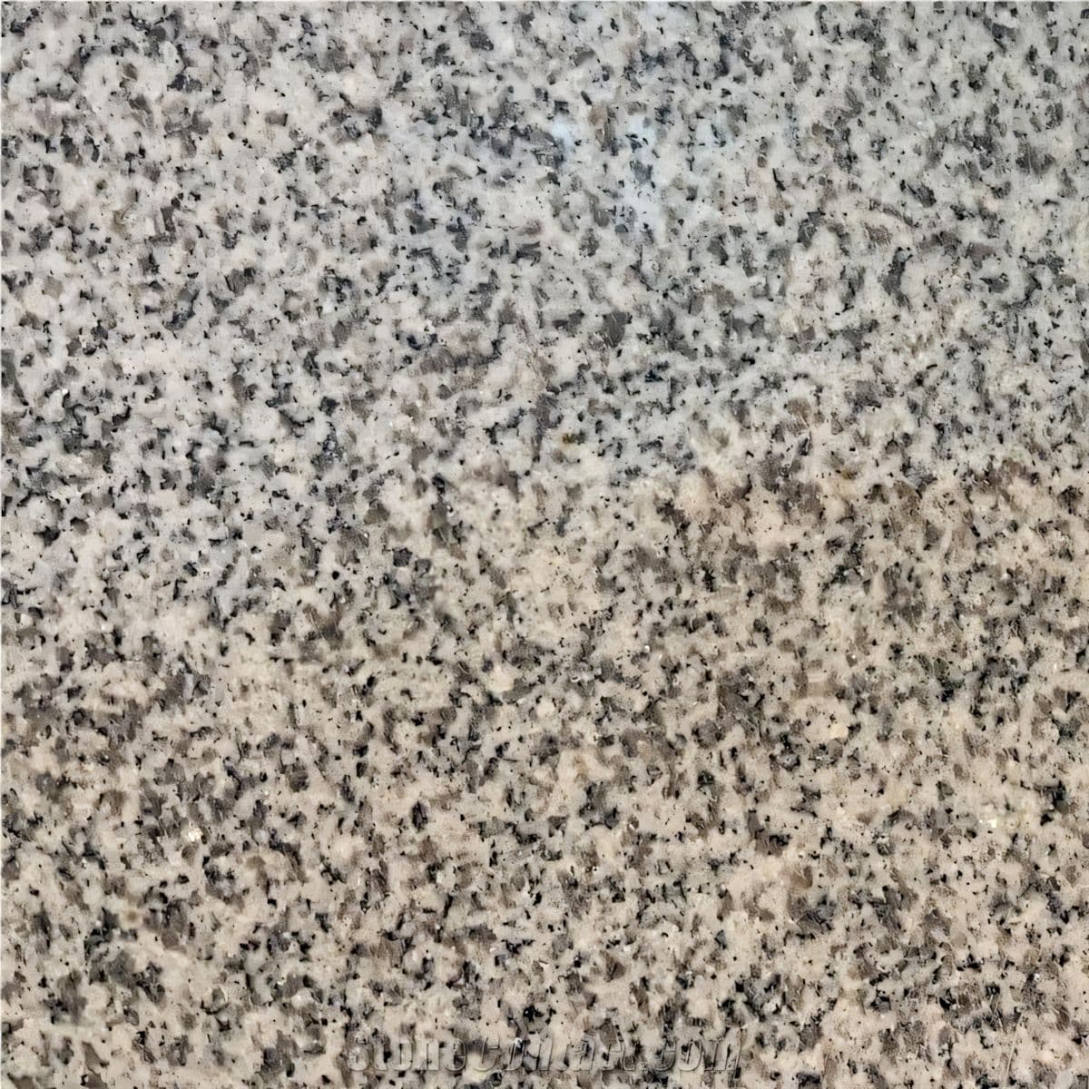 ULG-GRN-013 - G603 Granite — image 1