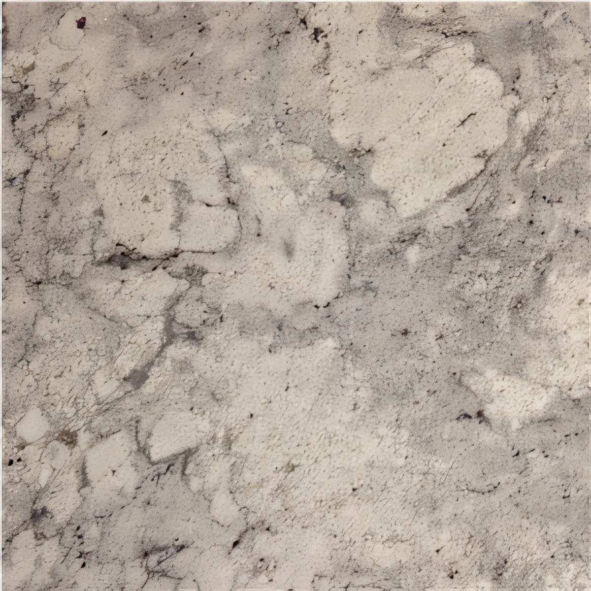 ULG-GRN-024 - Thunder White Granite — image 1