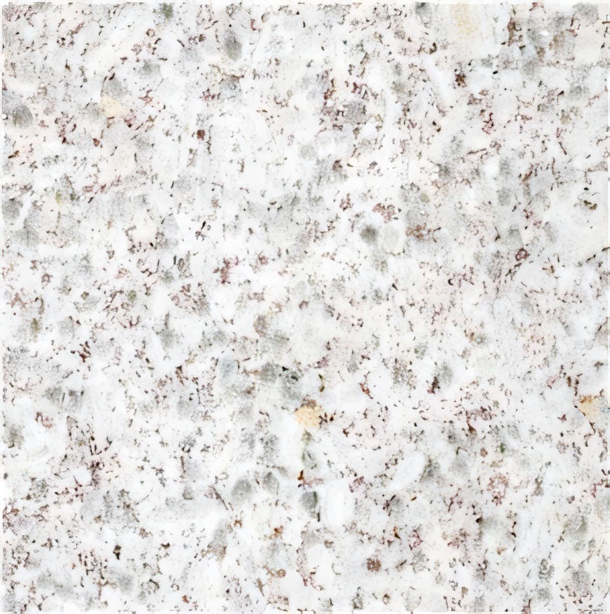 ULG-GRN-033 - China Pearl White Granite — image 1