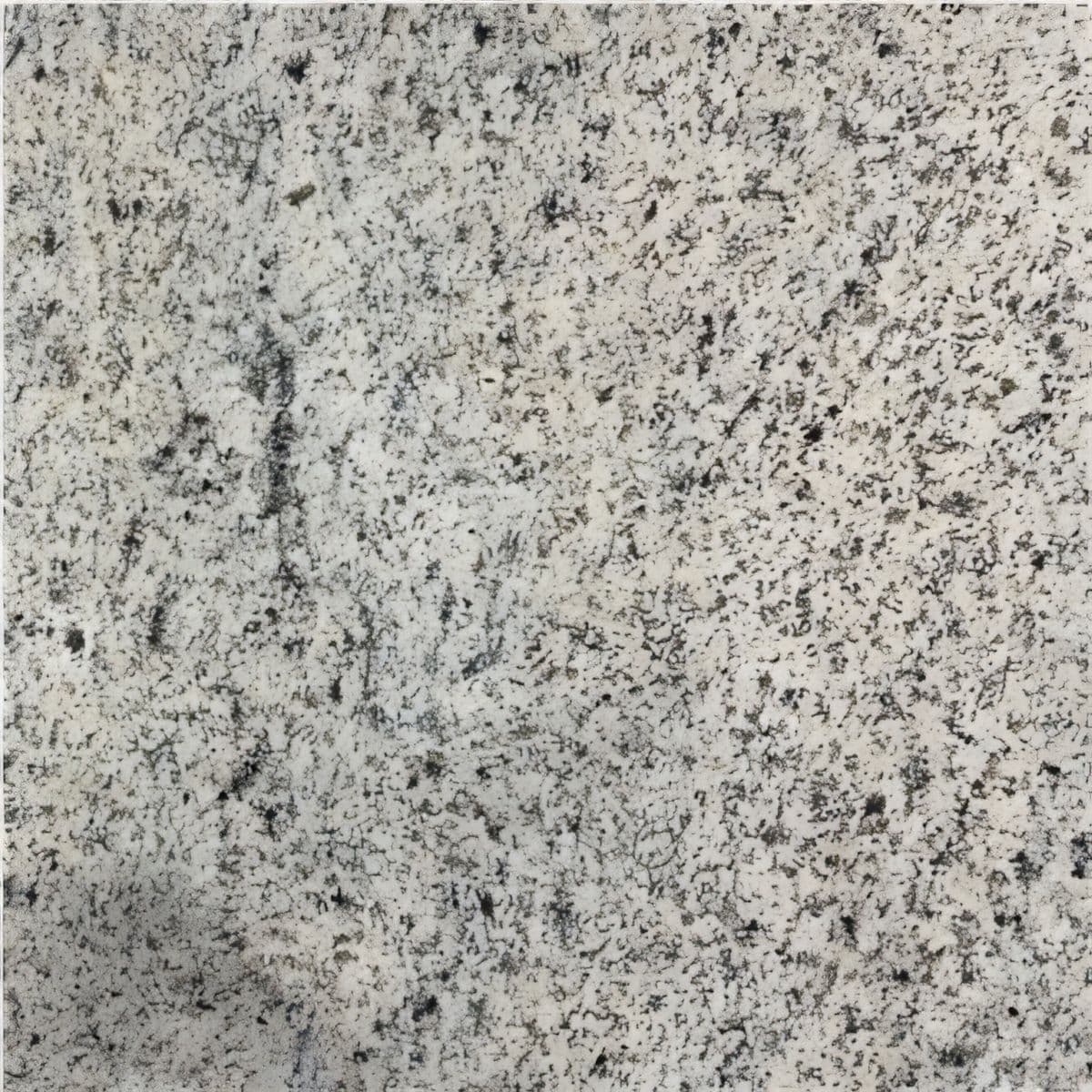 ULG-GRN-041 - Kashmir White Granite — image 1