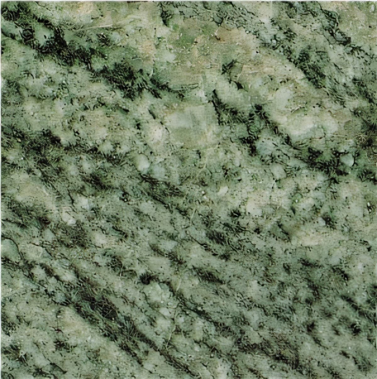 ULG-GRN-049 - Verde Maritaca Granite — image 1