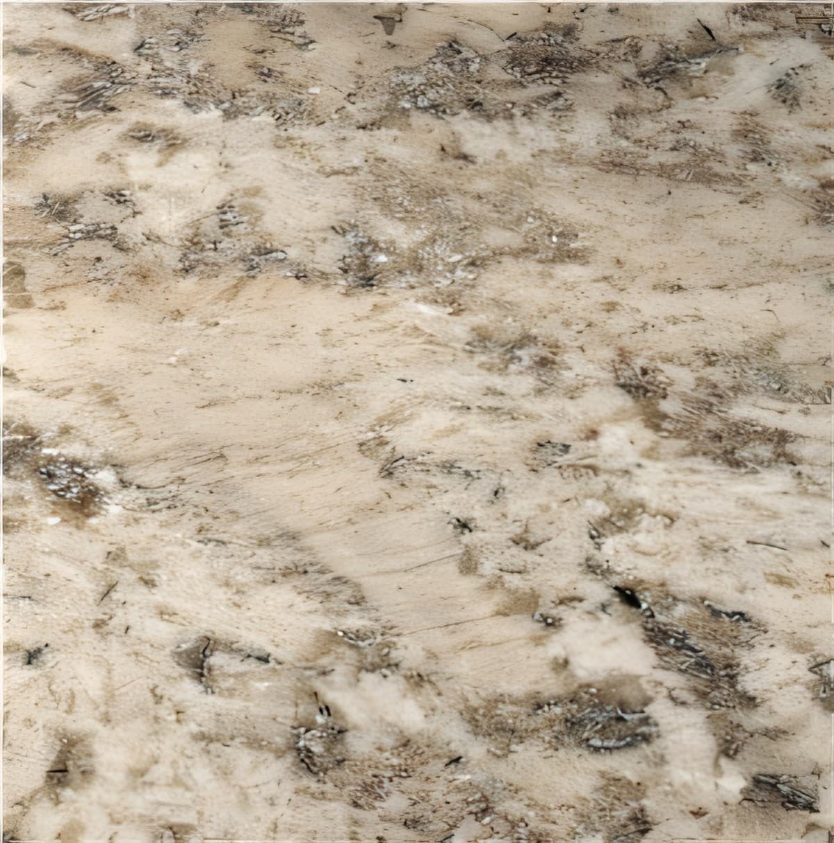 ULG-GRN-054 - White Torroncino Granite — image 1