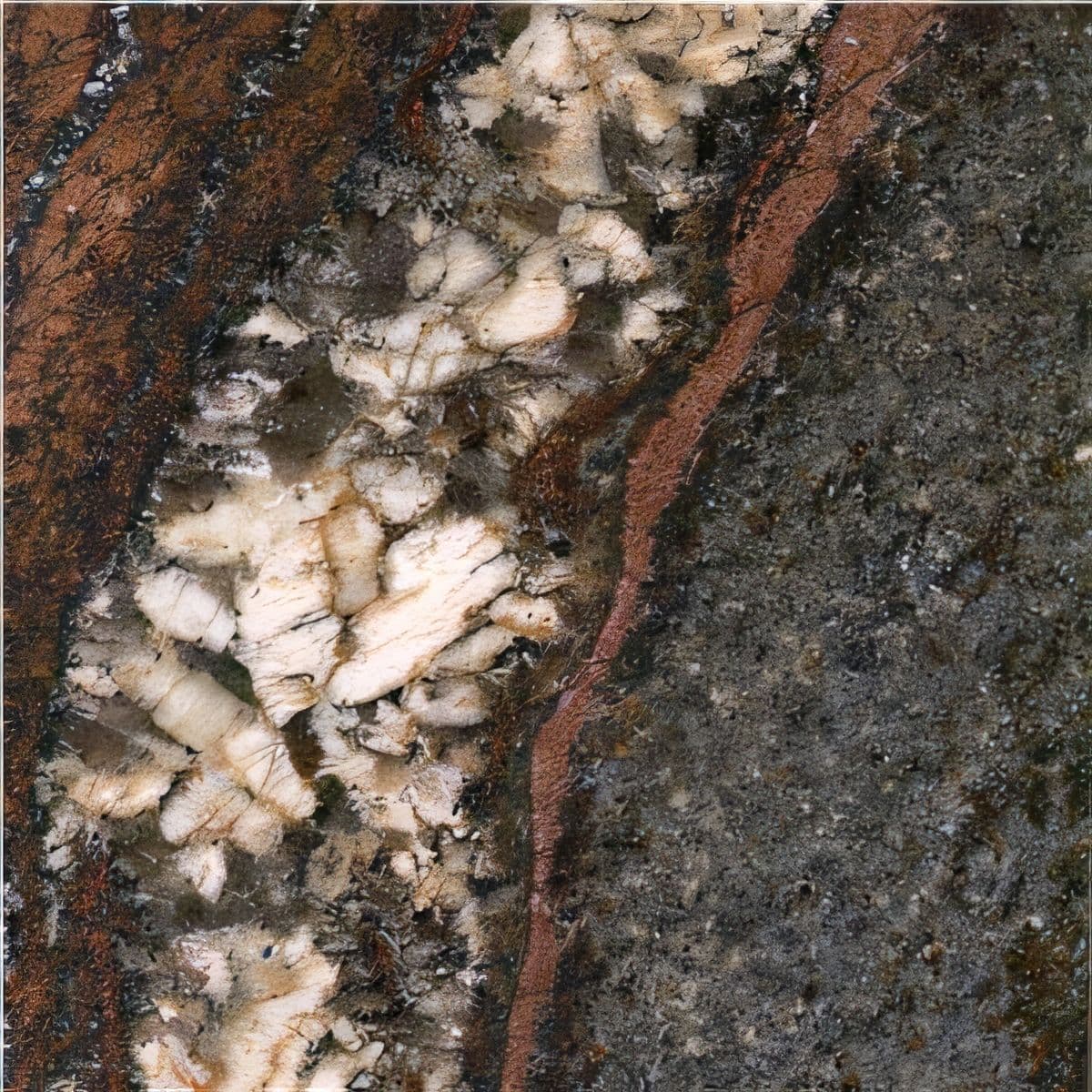 ULG-GRN-074 - Amarone Granite — image 1