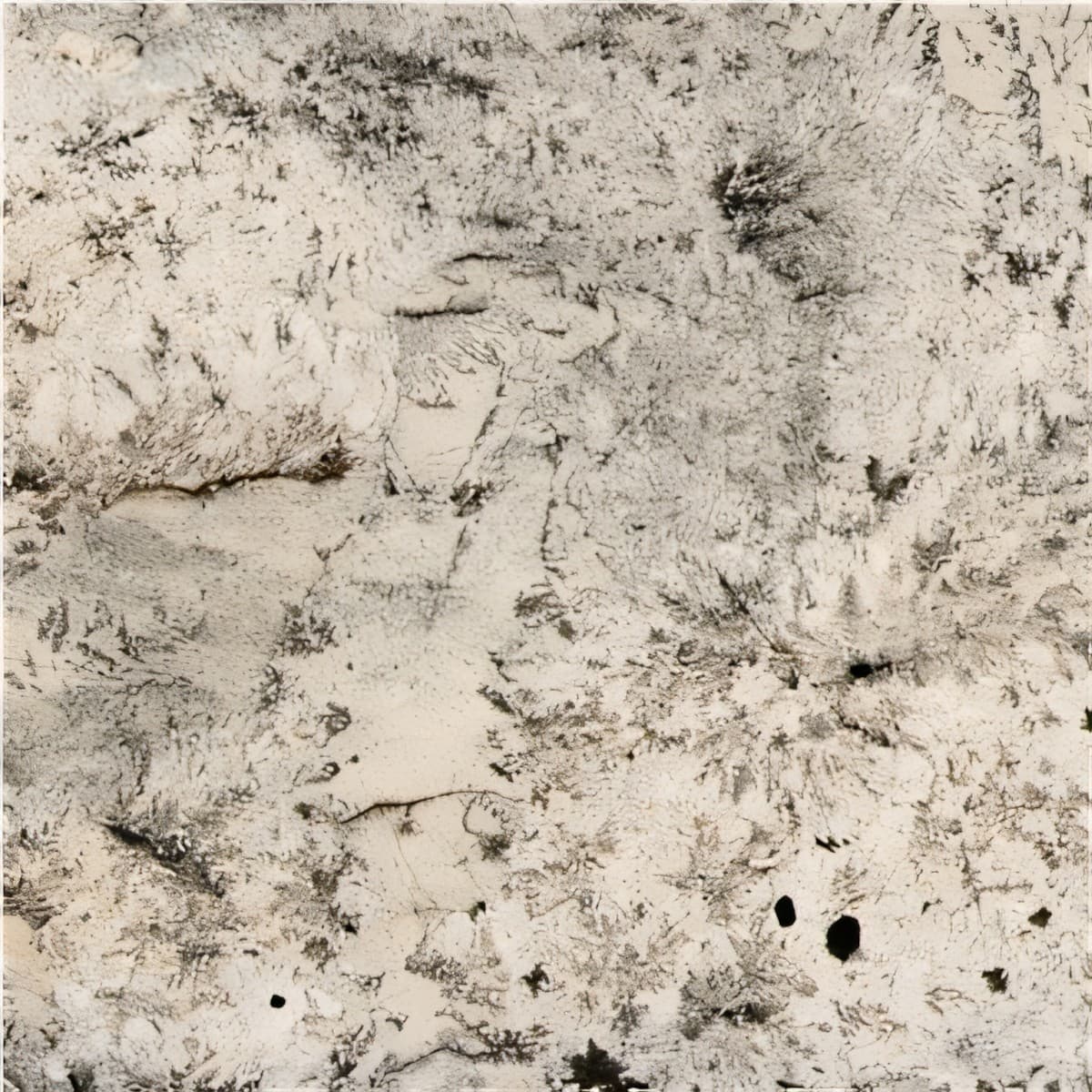 ULG-GRN-082 - White Spring Granite — image 1