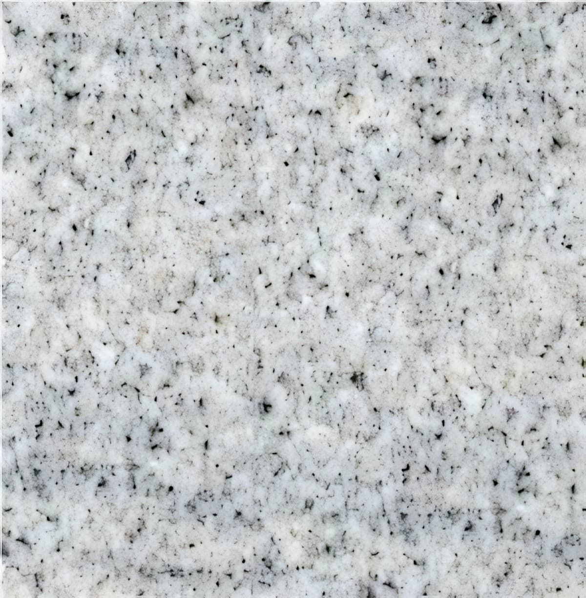 ULG-GRN-084 - China Star White Granite — image 1