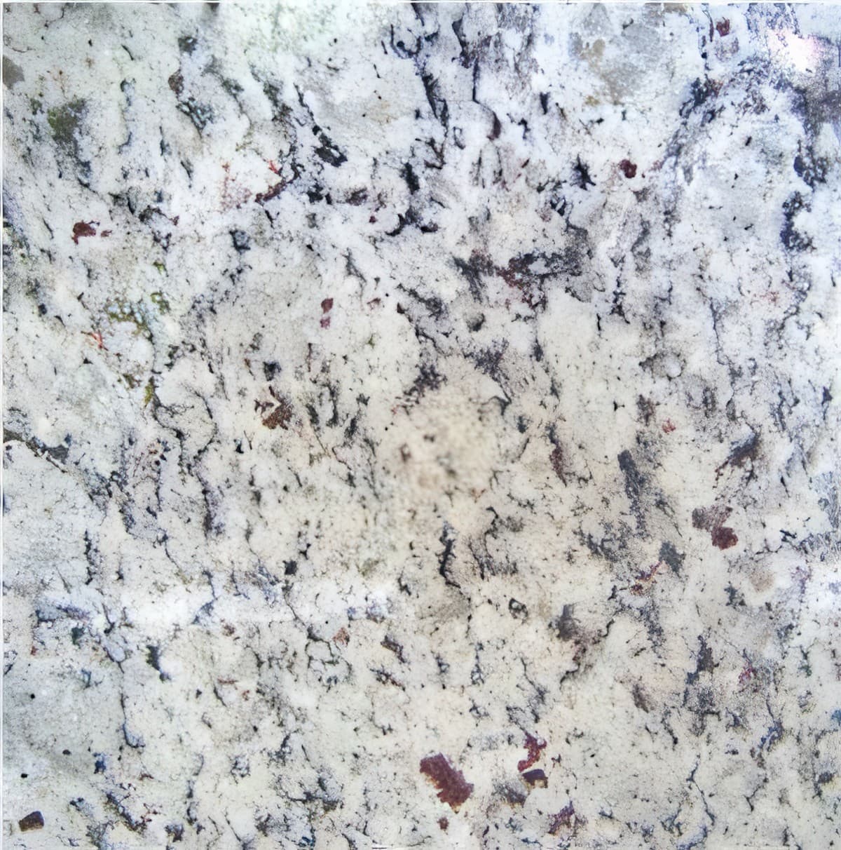 ULG-GRN-088 - White Napoli Granite — image 1