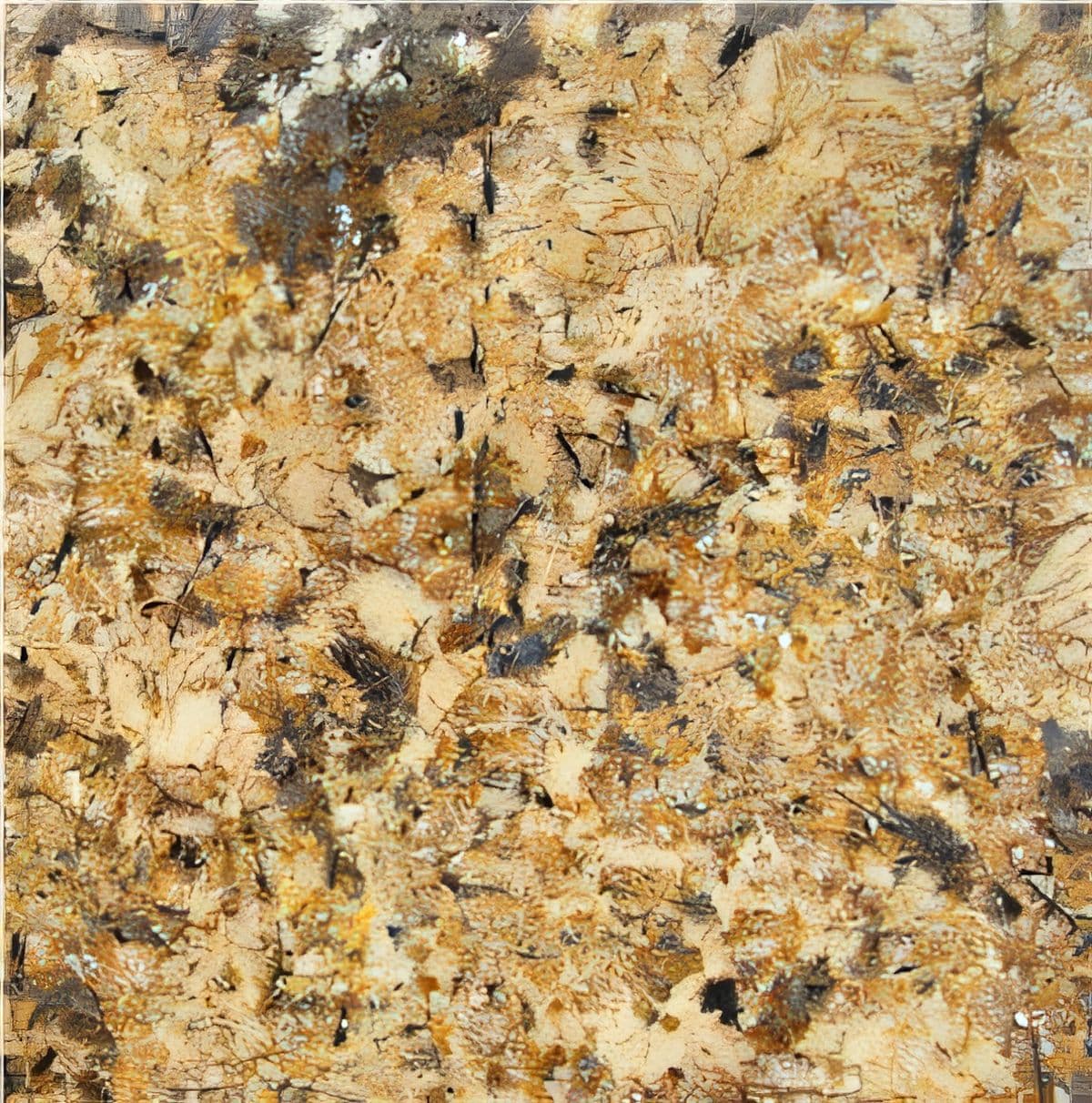 ULG-GRN-092 - Juparana Persa Granite — image 1