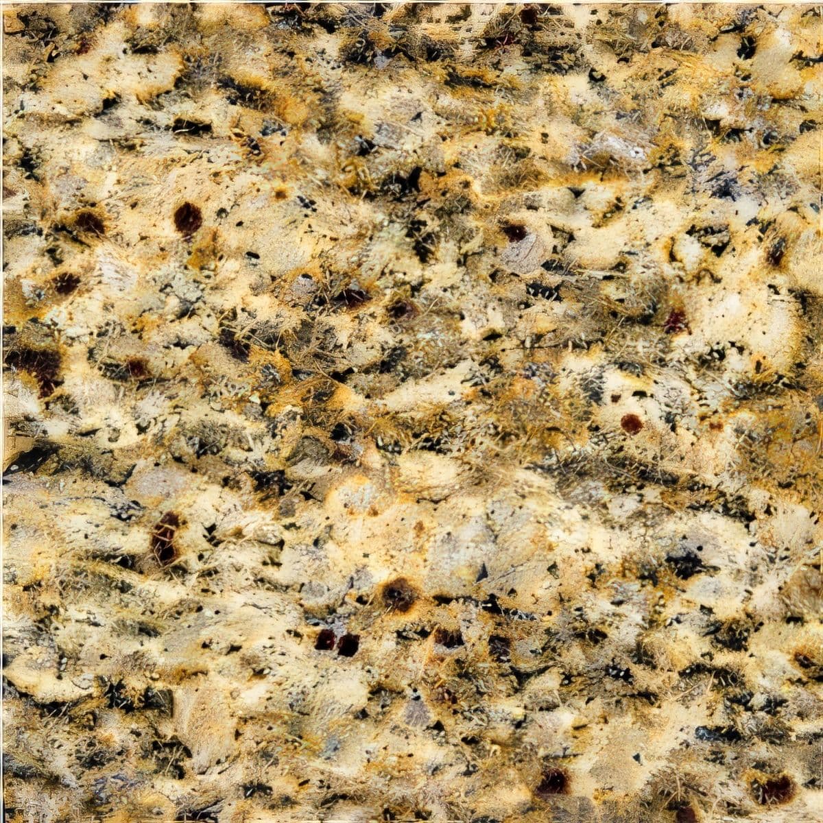 ULG-GRN-094 - Giallo Santa Cecilia Granite — image 1
