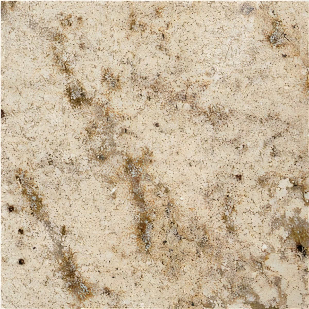 ULG-GRN-097 - Sienna Cream Granite — image 1