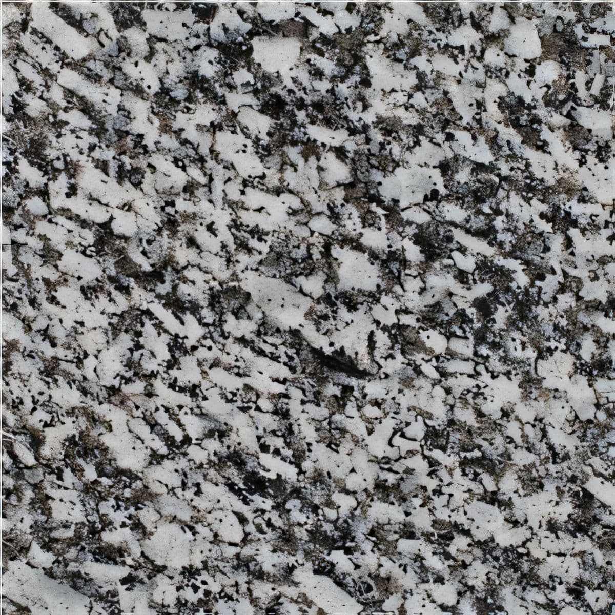 ULG-GRN-099 - Gran Perla Granite — image 1