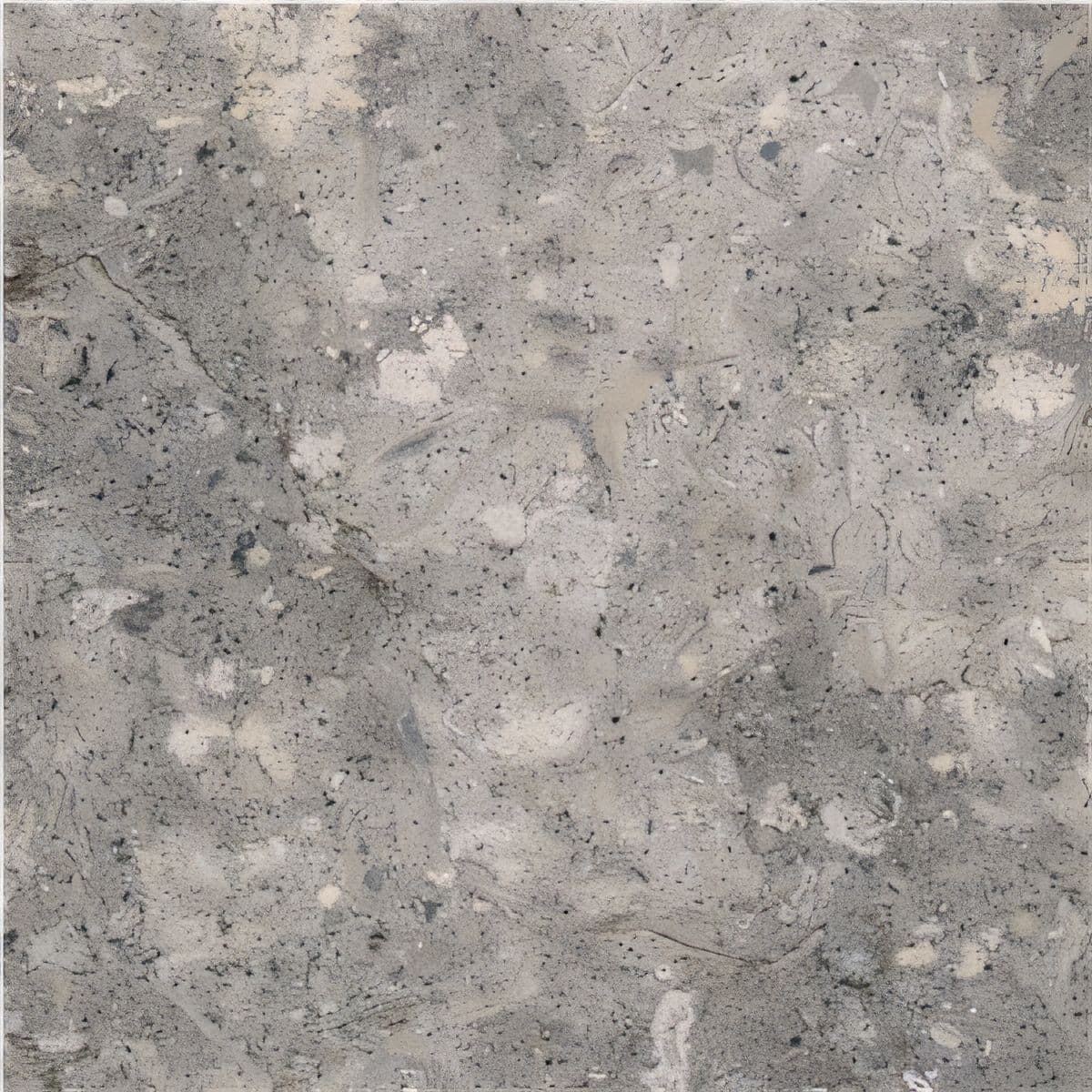 ULG-LMS-004 - Grigio Argento Limestone — image 1
