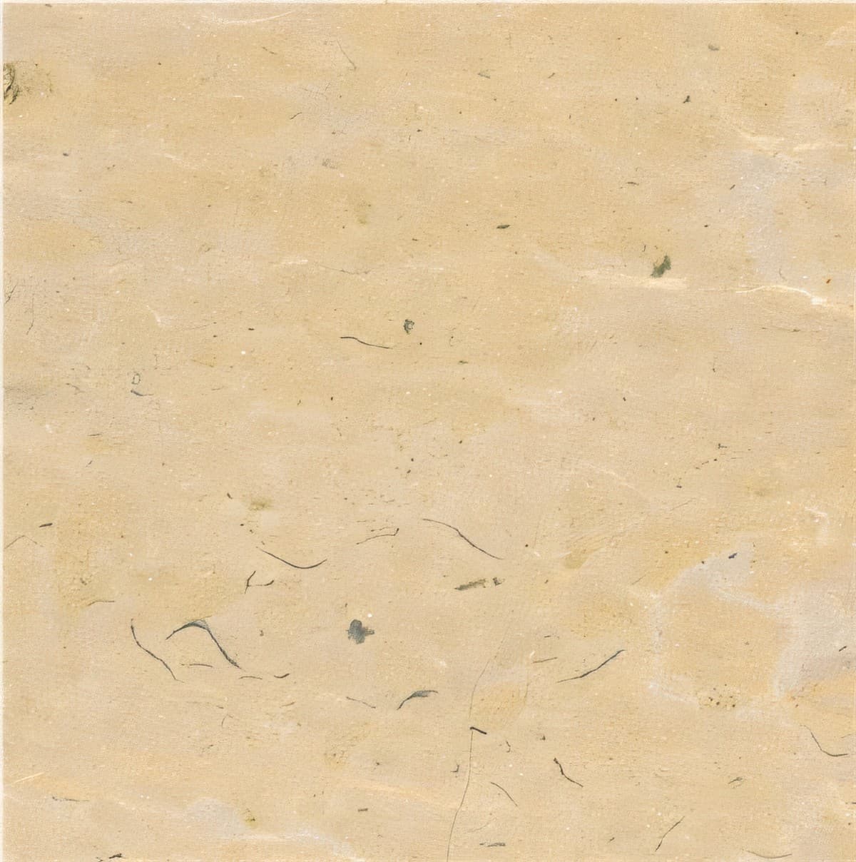 ULG-LMS-005 - Crema Cenia Limestone — image 1
