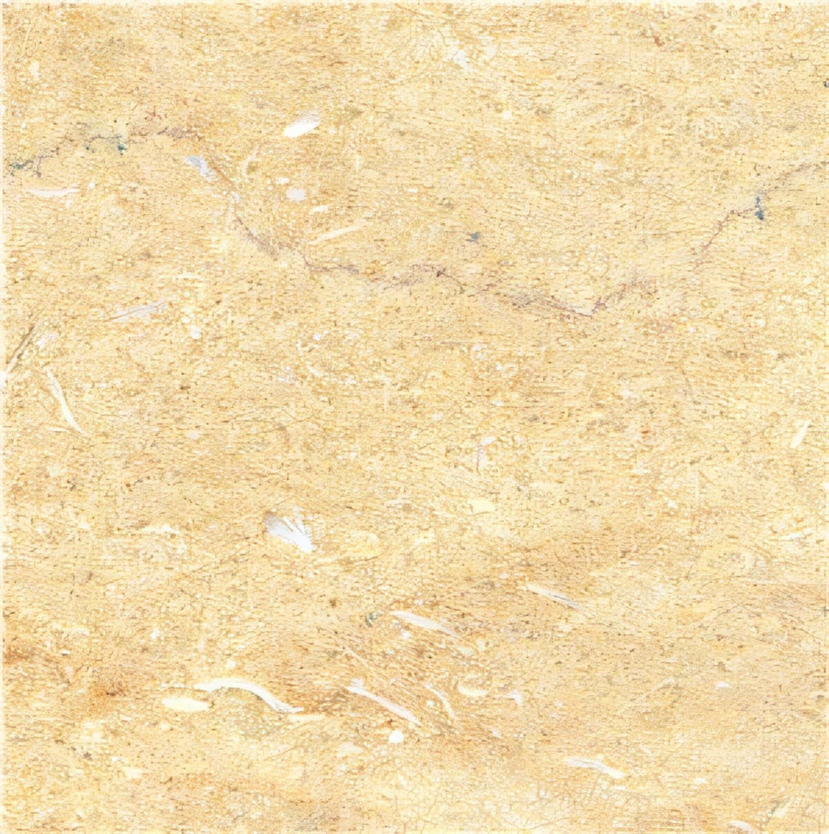 ULG-LMS-007 - Jerusalem Gold Limestone — image 1