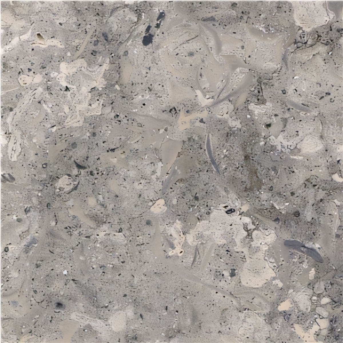 ULG-LMS-009 - Grigio Alpi Limestone — image 1