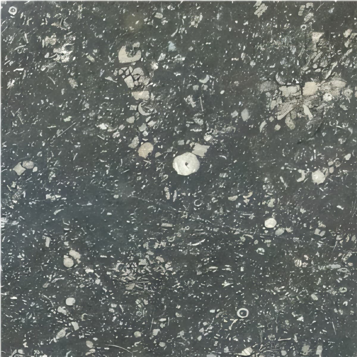 ULG-LMS-010 - Petit Granit — image 1