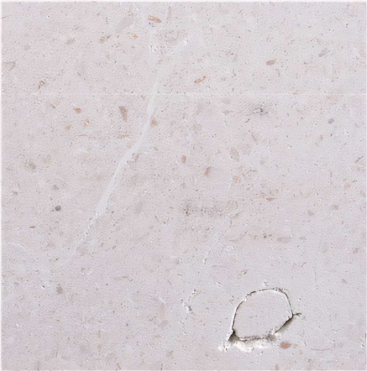 ULG-LMS-015 - Nabresina Limestone — image 1