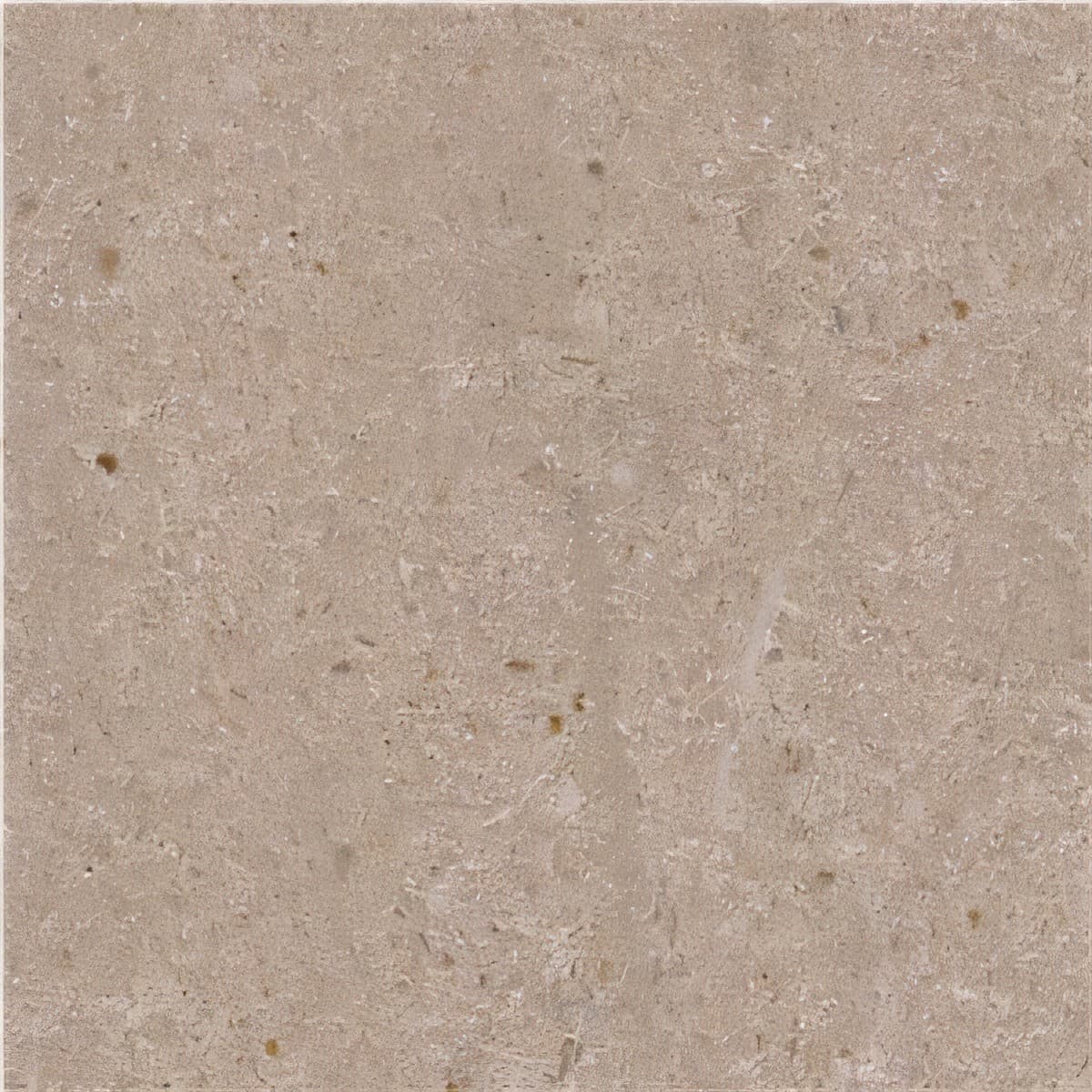 ULG-LMS-019 - Avorio Limestone — image 1