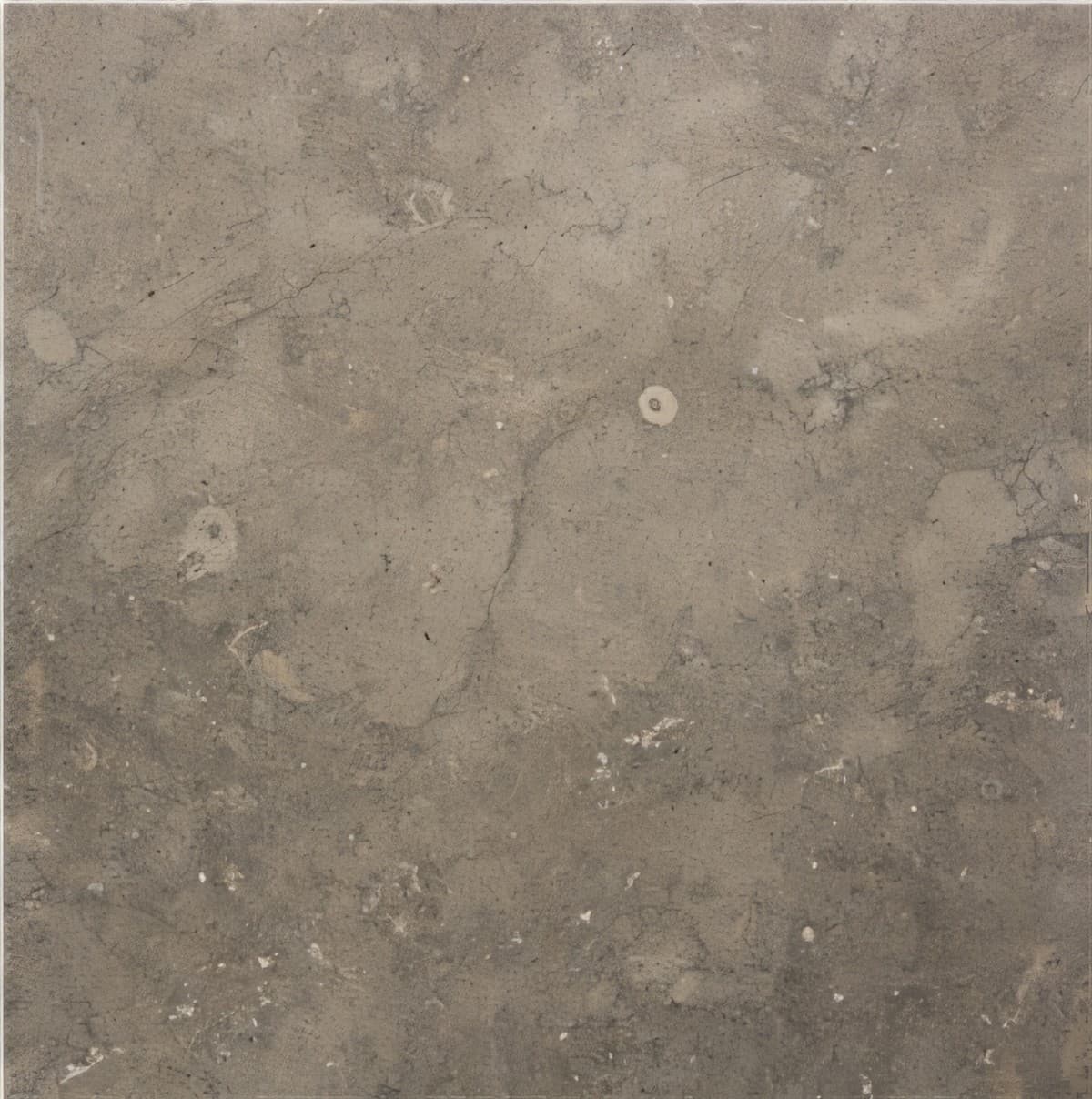 ULG-LMS-022 - Azul Cascais Limestone — image 1