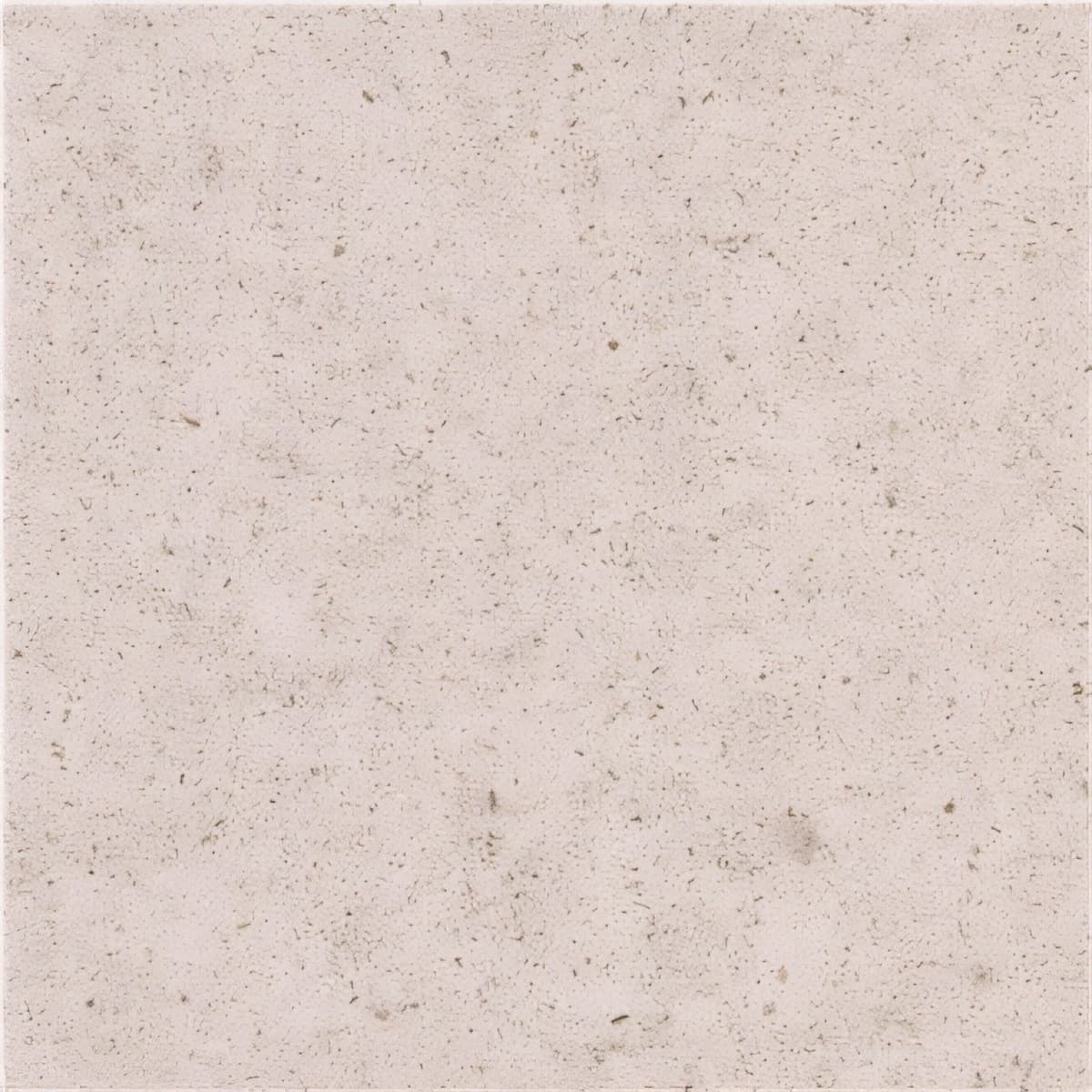 ULG-LMS-028 - Moleanos M14 Limestone — image 1