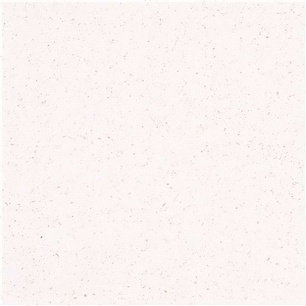 ULG-LMS-033 - Blanca Paloma Limestone — image 1