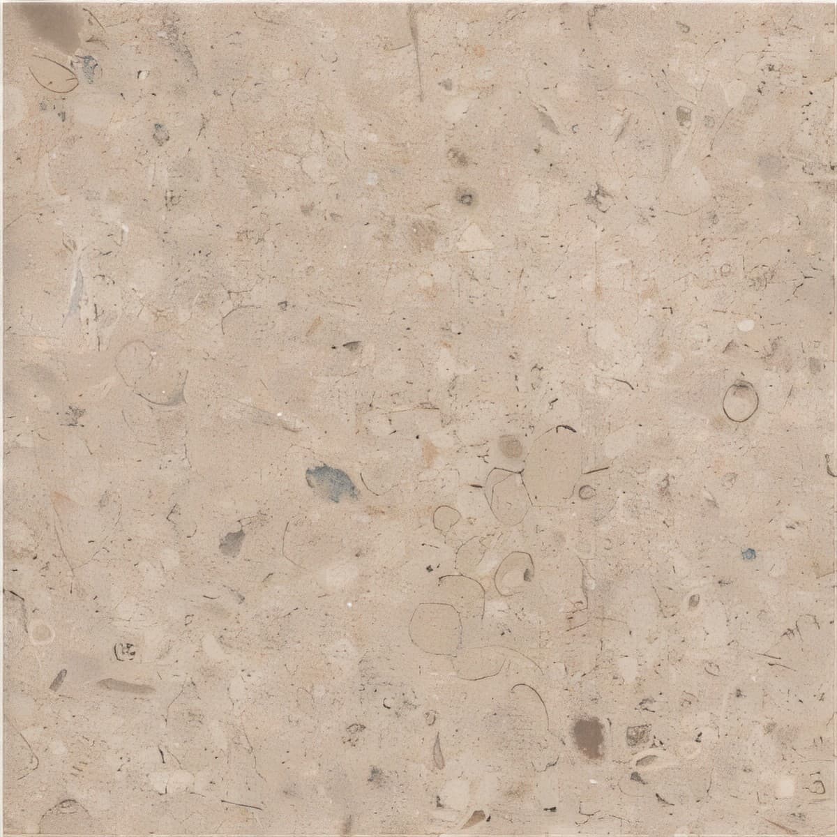 ULG-LMS-035 - Pierre Taza — image 1