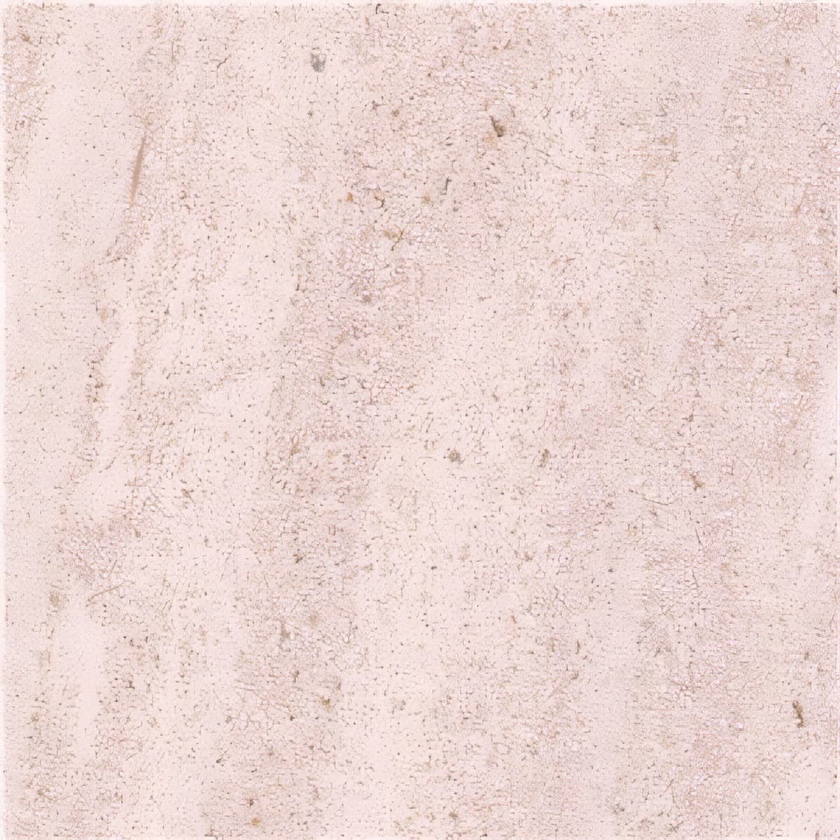 ULG-LMS-037 - Saint Hubert Limestone — image 1