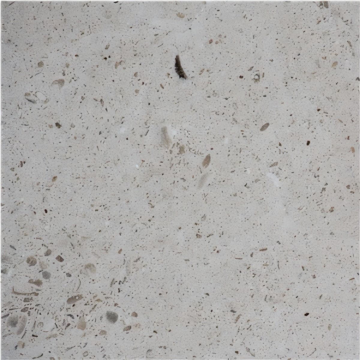ULG-LMS-038 - Maljat Limestone — image 1