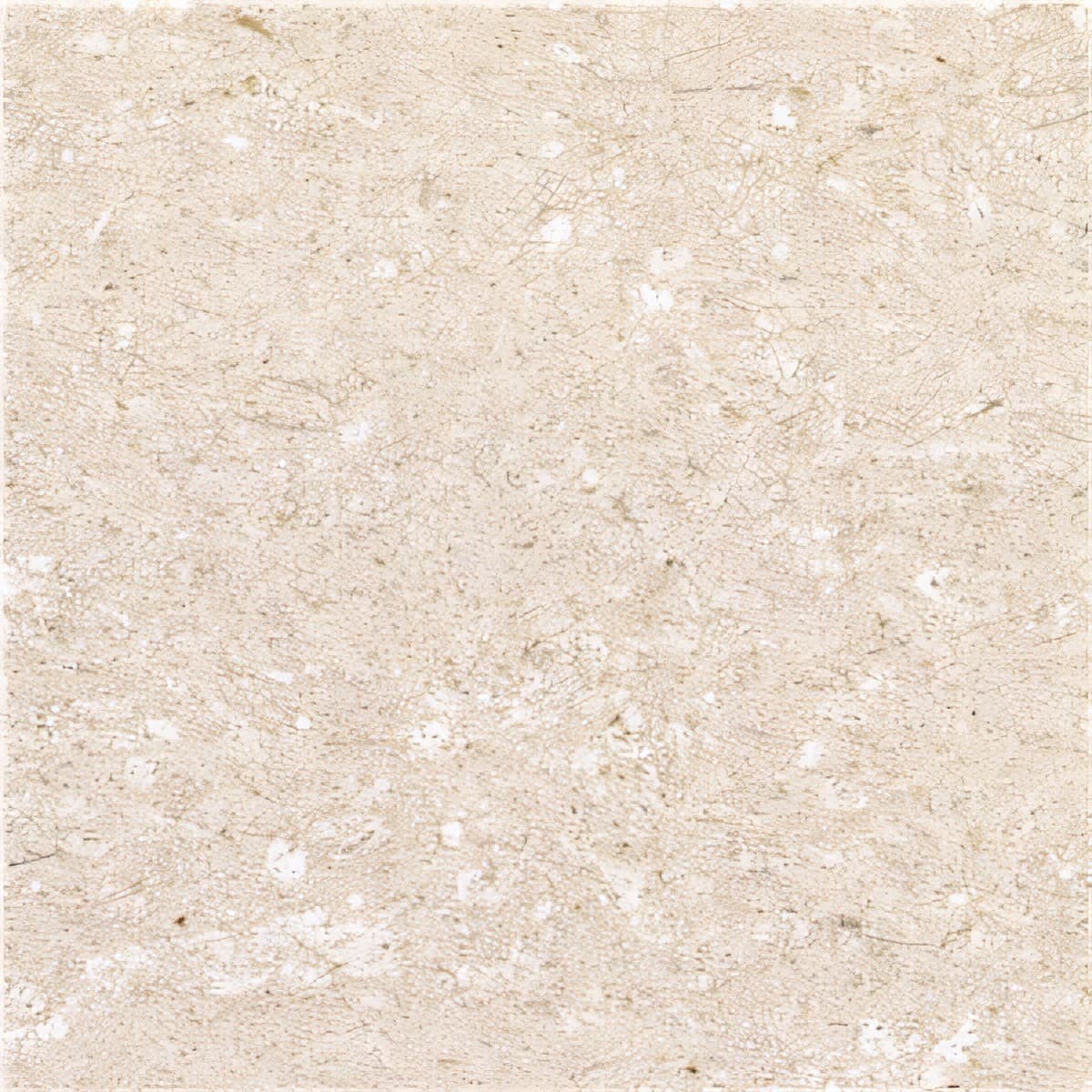 ULG-LMS-039 - Crema Bella Limestone — image 1