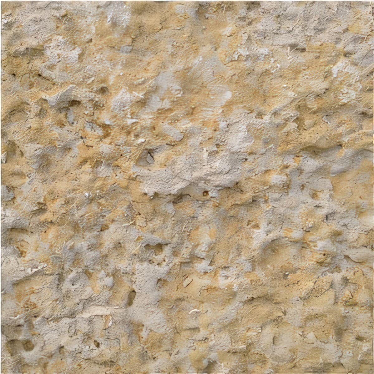 ULG-LMS-042 - Lueders Limestone — image 1