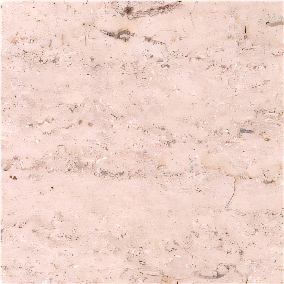 ULG-LMS-047 - Buffon Limestone — image 1
