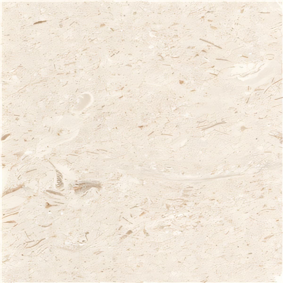 ULG-LMS-048 - Myra Limestone — image 1