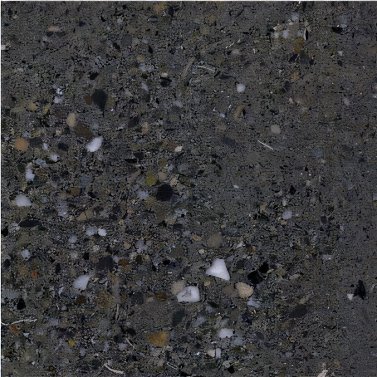 ULG-LMS-049 - San Vicente Limestone — image 1