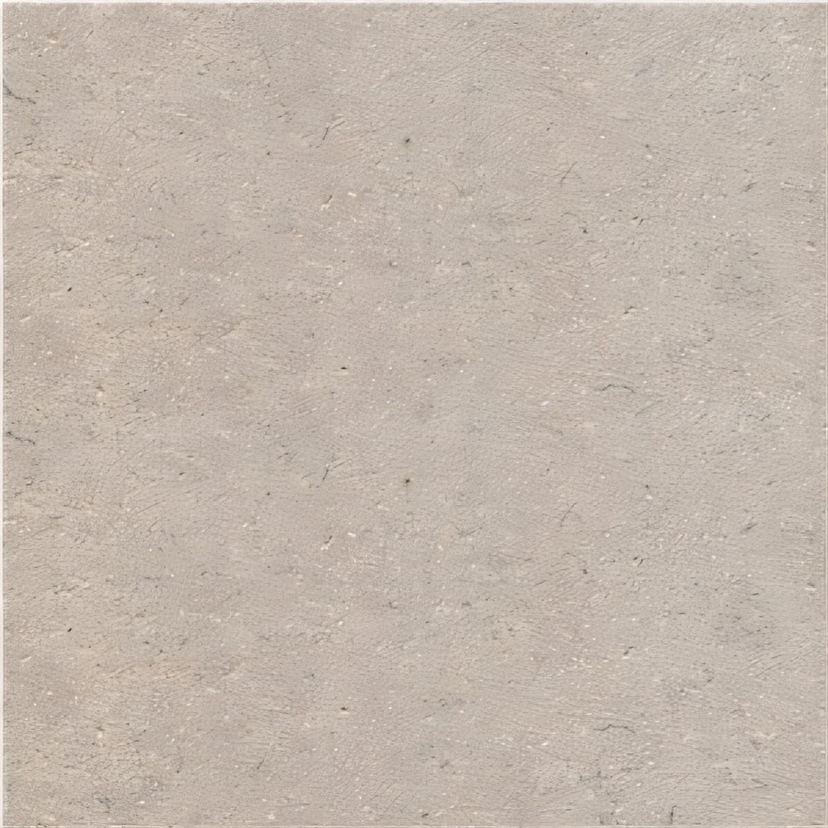 ULG-LMS-051 - Sinai Pearl Limestone — image 1