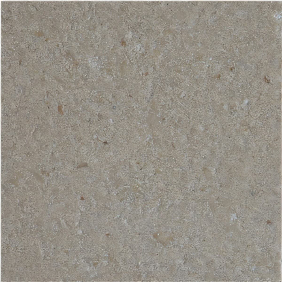 ULG-LMS-053 - Testa Limestone — image 1