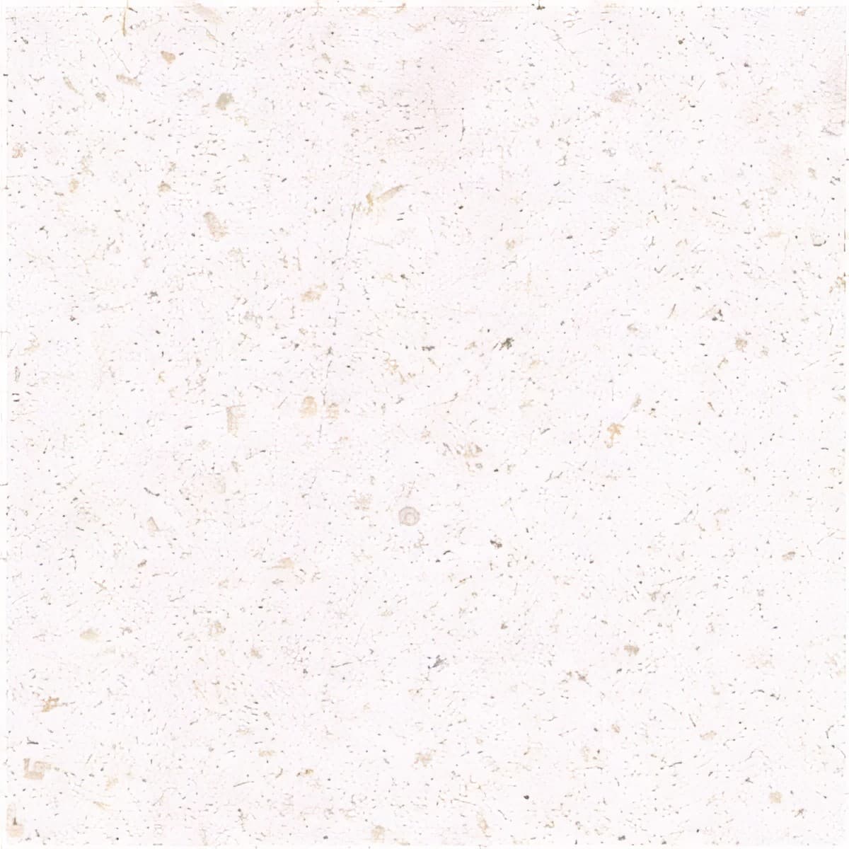 ULG-LMS-054 - Crema Bello Limestone — image 1