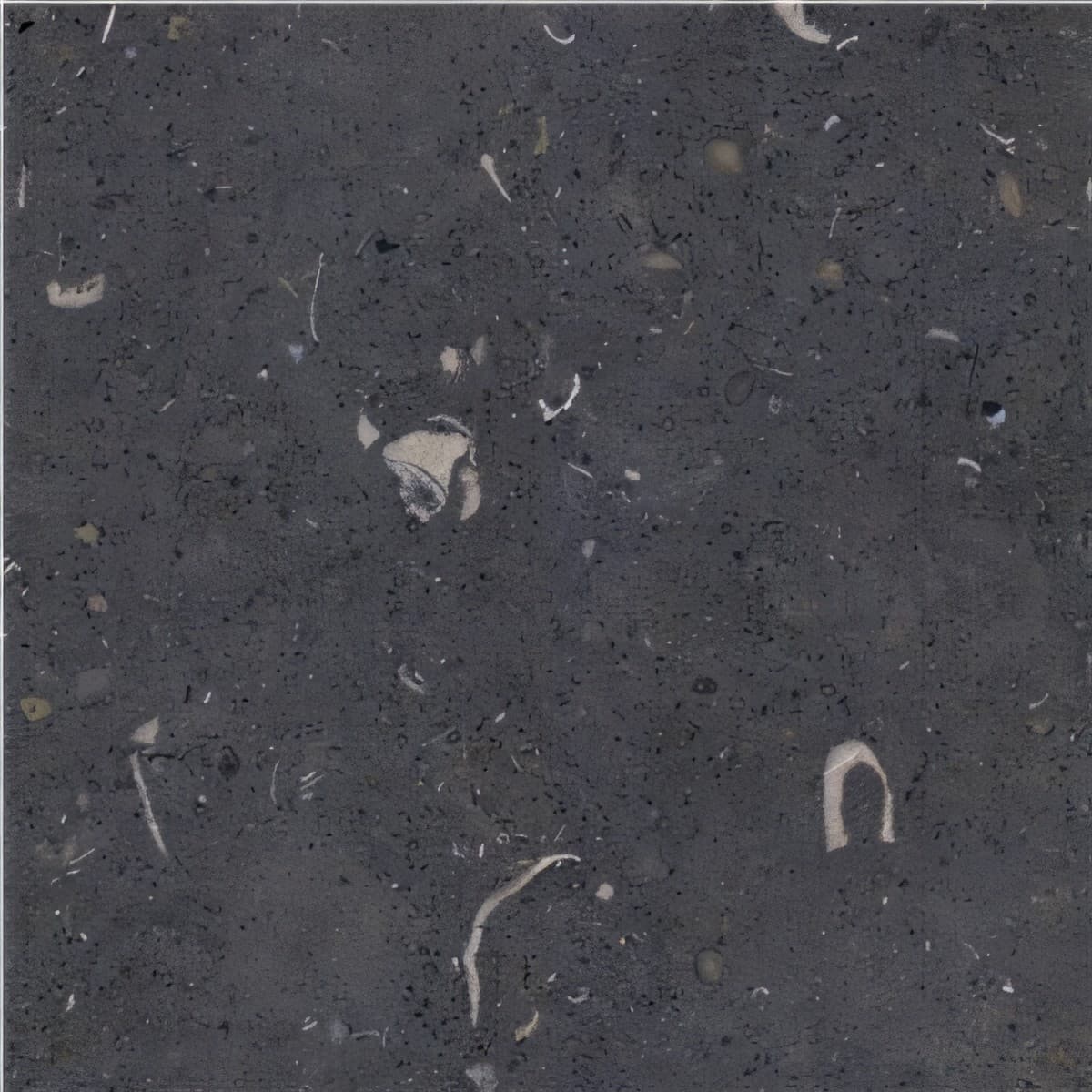ULG-LMS-057 - Gris De Catalan Limestone — image 1