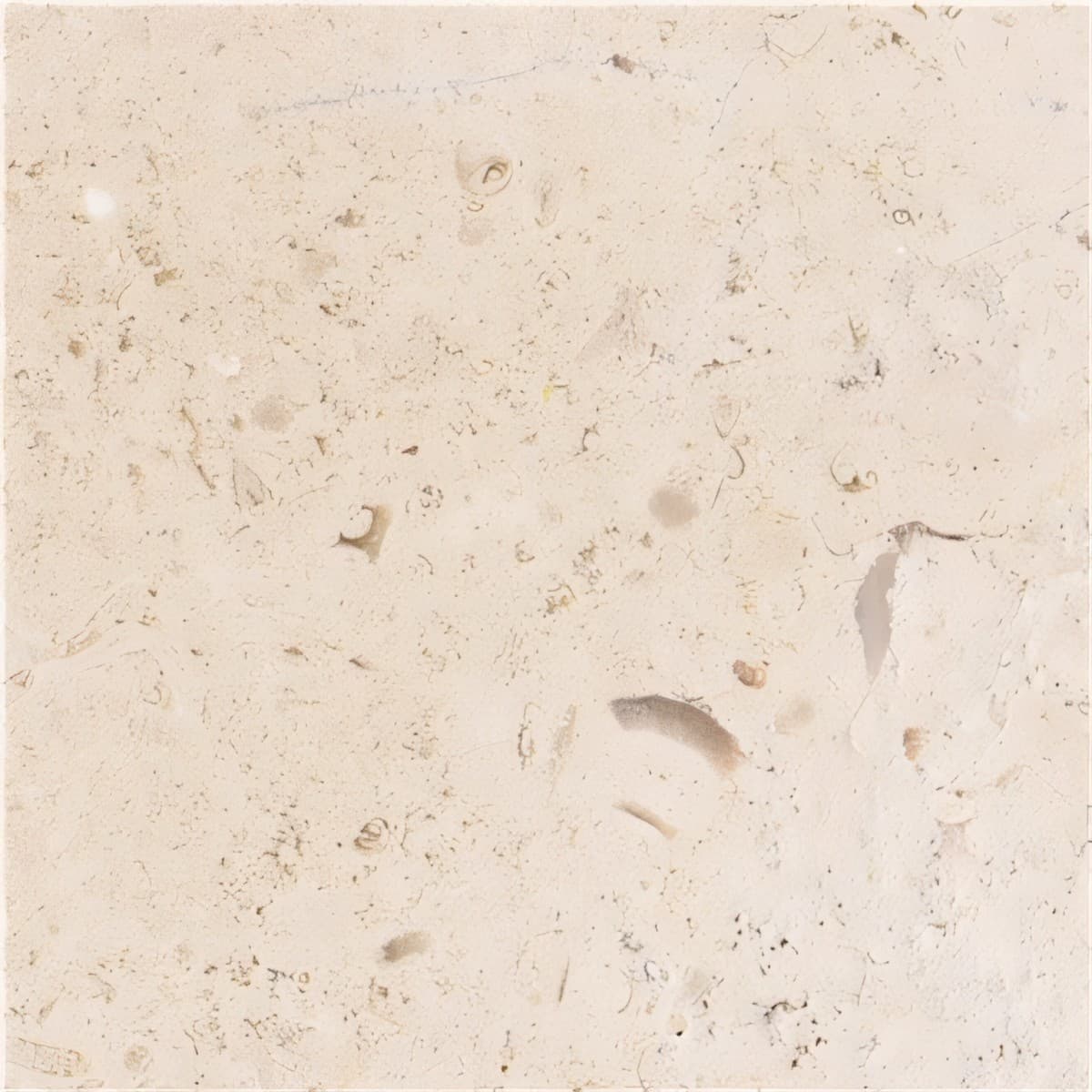 ULG-LMS-060 - Crema Luna Limestone — image 1
