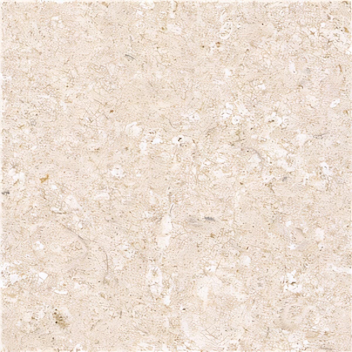 ULG-LMS-064 - Bianco Avorio Limestone — image 1