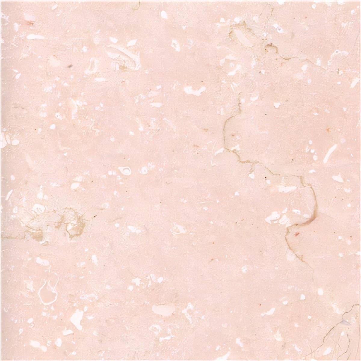 ULG-LMS-069 - Veselje Unito Limestone — image 1